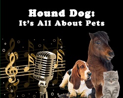 hounddogpets.jpg