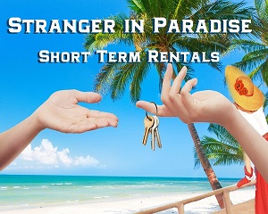 strangerinparadise.jpg